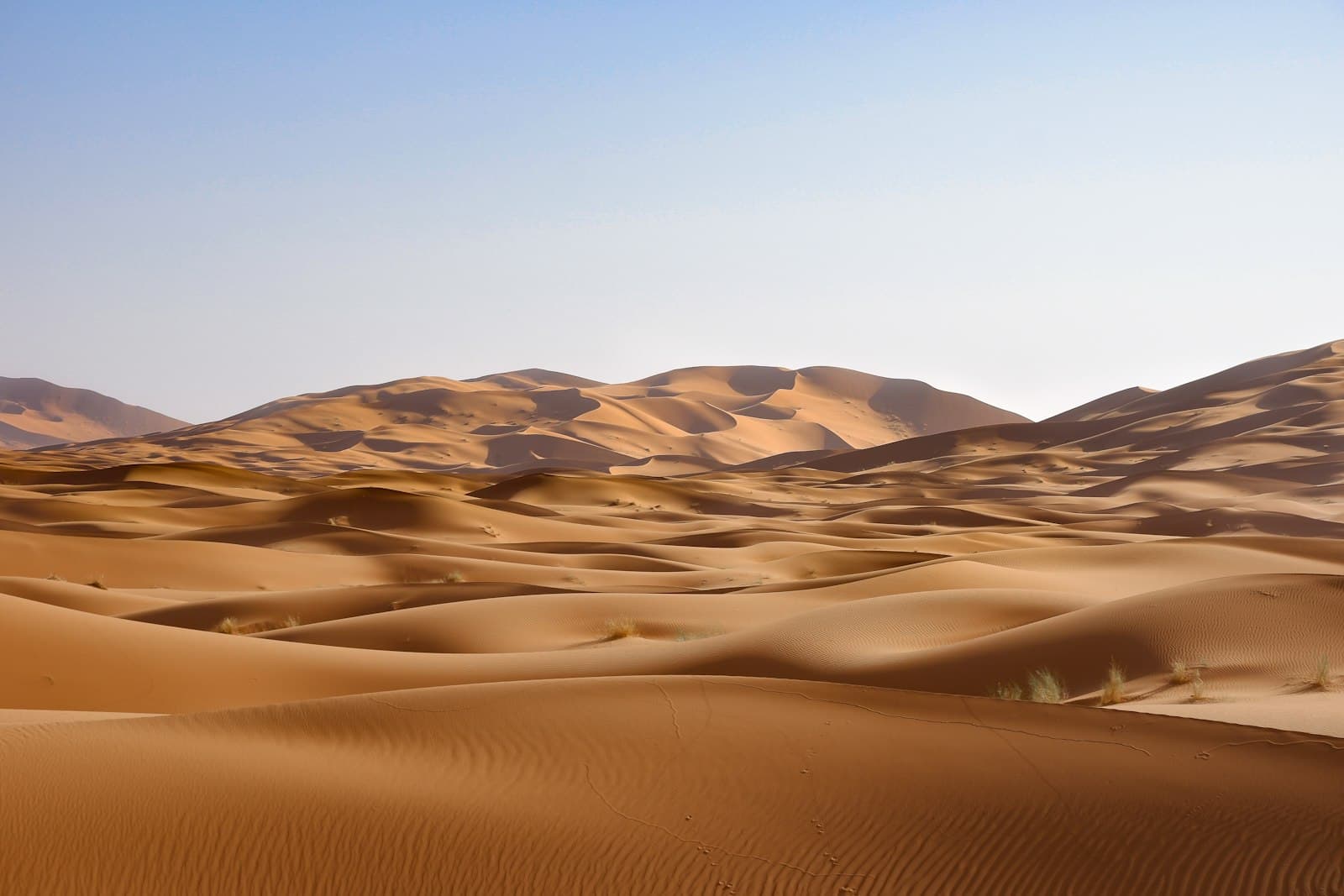 Golden Sahara dunes of Erg Chebbi near Erfoud, Morocco